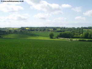 View from the fields near Patrixbourne