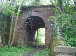 The path under the railway at Etchinghill