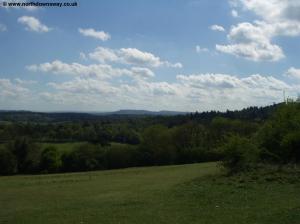 View from Newlands Corner