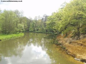 The River Wey from the wooden bridge