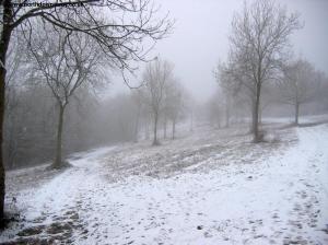 Newlands Corner in Snow