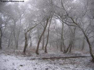 Newlands Corner in Snow