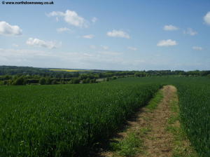 The North Downs Way passes through a field