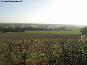 View towards Westwell