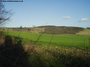 Entering Eastwell Park