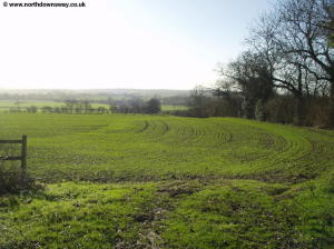 Near Burnt House Farm