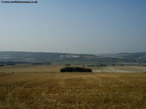 View near Ivy Cottage