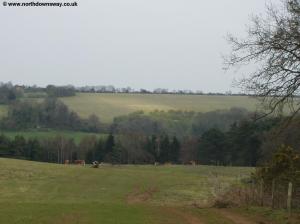 View of the Hogs Back