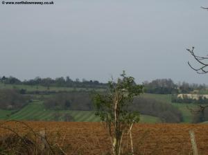 View from Puttenham Common