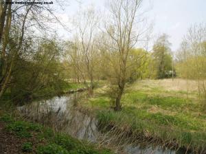 The River Wey