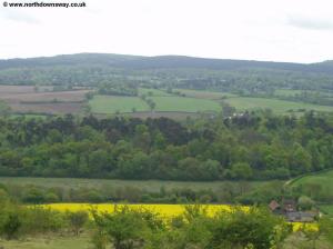 View from near Hackhurst Downs