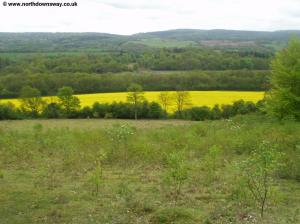 View from near Hackhurst Downs