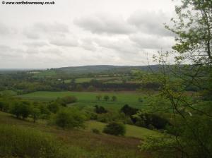 Passing through woodland