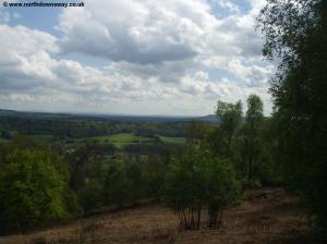 View from St Martha's Hill