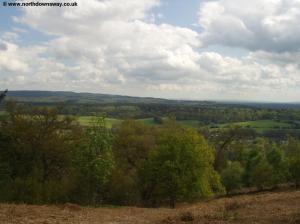 View from St Martha's Hill