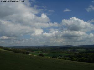 View from Newlands Corner