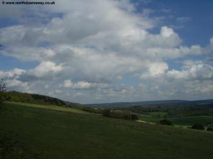 View from Newlands Corner