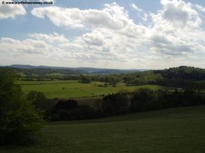 View from Newlands Corner