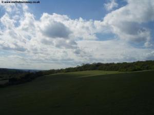 View from Newlands Corner