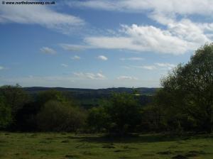 The view approaching Gomshall