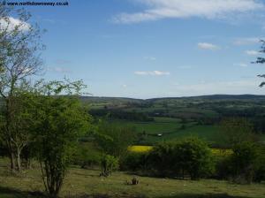 The view approaching Gomshall