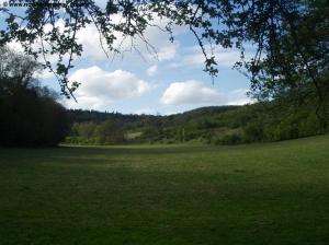 Near Churchfield Farm