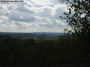 View from St Martha's Hill