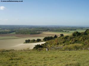 Allington Farm
