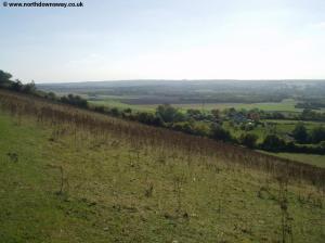 Near Cats Mount