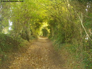 Passing through trees