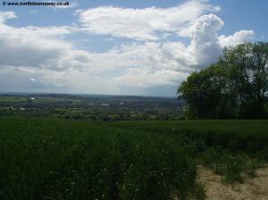 View from the top of the field