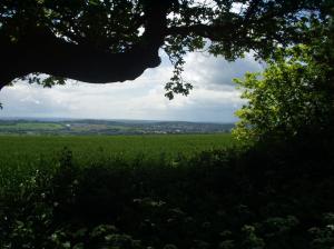 View from the top of the field