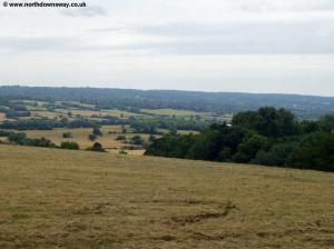 View near Cotman's Ash