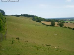 The North Downs near Birches Wood