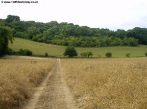 The path down from the North Downs