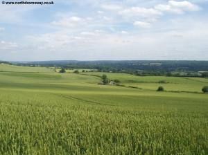 Fields near Westerham