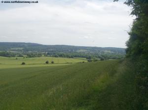 Near Grays Farm