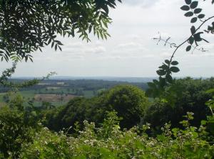 View from the Downs near Oxted