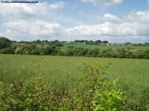 View back to Shepherdswell from the North Downs Way