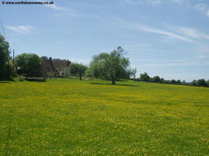 Coldred Court Farm