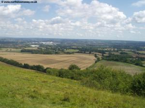 View near Holly Hill Lodge