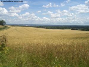 The North Downs near Wrotham