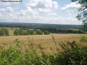 The North Downs near Wrotham