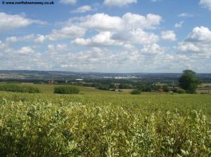 View near Whitehorse Wood