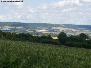 View near Holly Hill Lodge