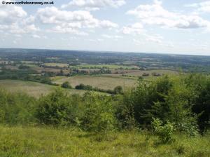 View near Holly Hill Lodge