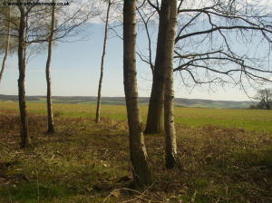 View from the North Downs near King's Wood