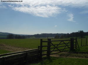 View from the North Downs near King's Wood