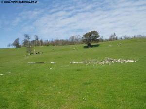 Climbing onto the Downs