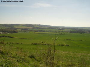 View of the Downs